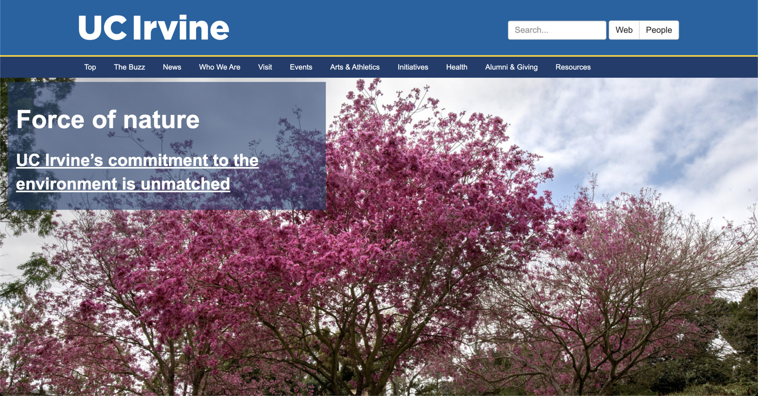 Screenshot 2024-09-06 at 6.15.50 PM